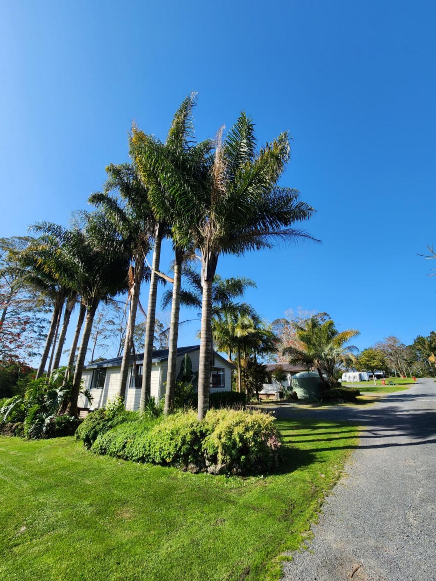Bay Of Islands Holiday Park Paihia Ngoại thất bức ảnh